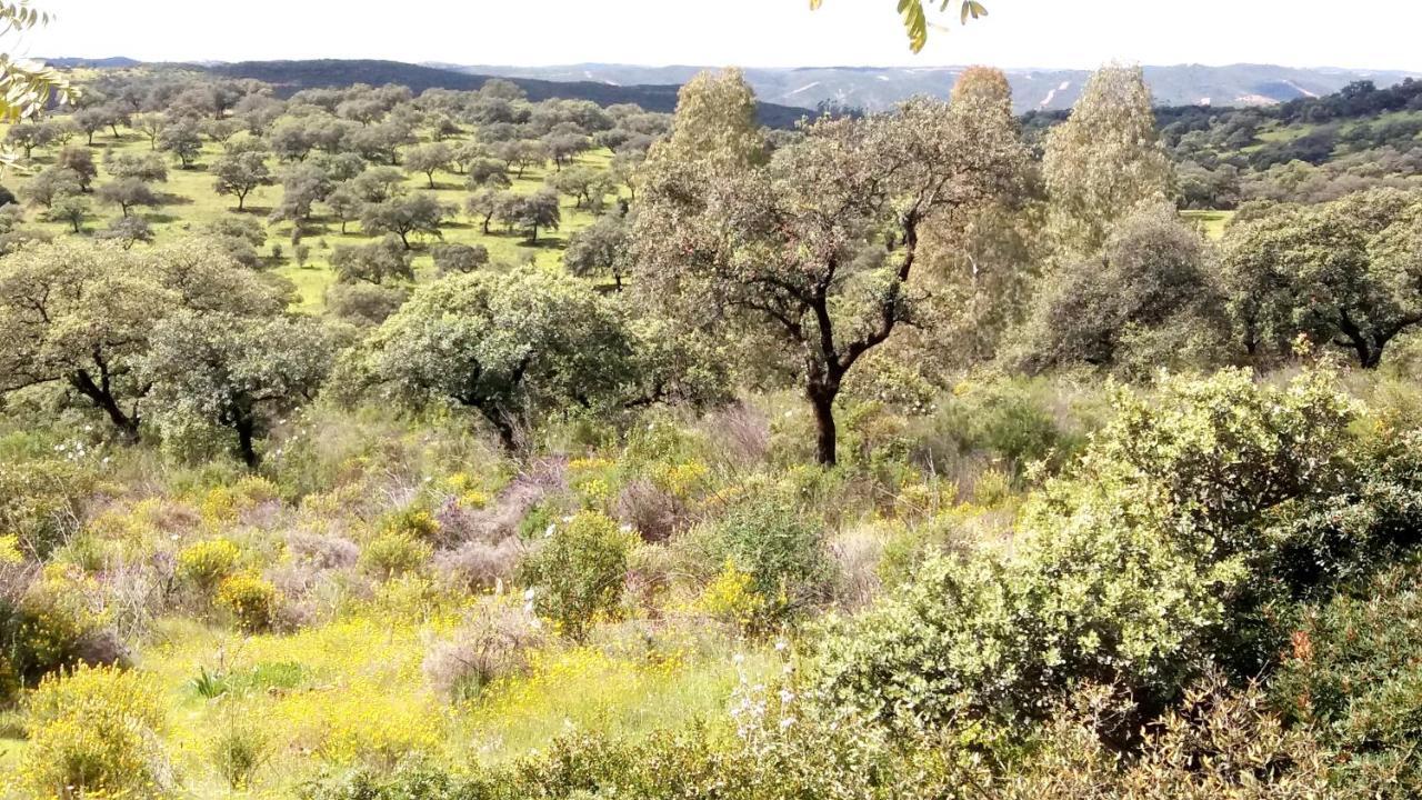 Casa Rural La Aulaga Ель-Кастільо-де-лас-Ґуардас Екстер'єр фото